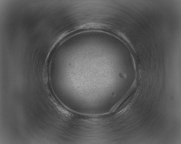 X0000054421075200508011351