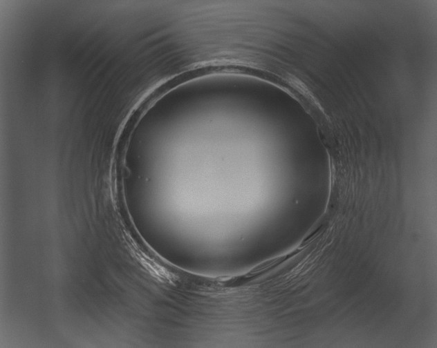 X0000054421076200508011351