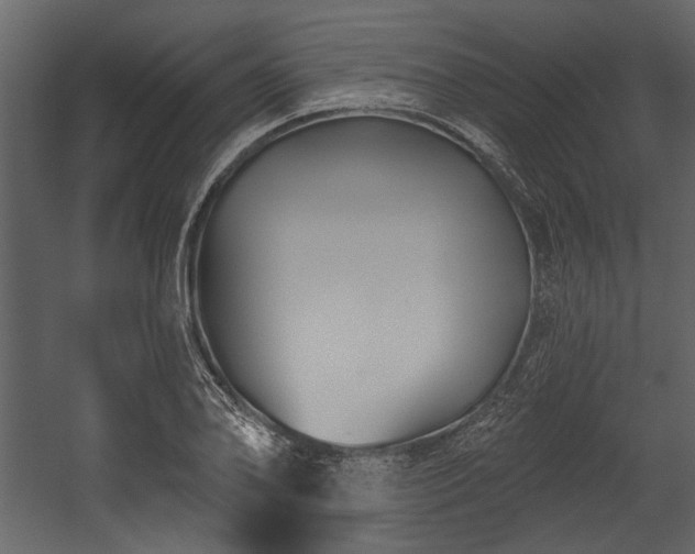 X0000054421078200508011351