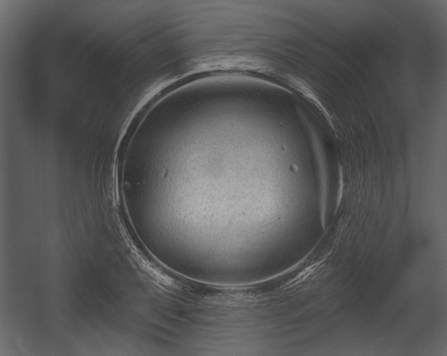 X0000054421079200508011351