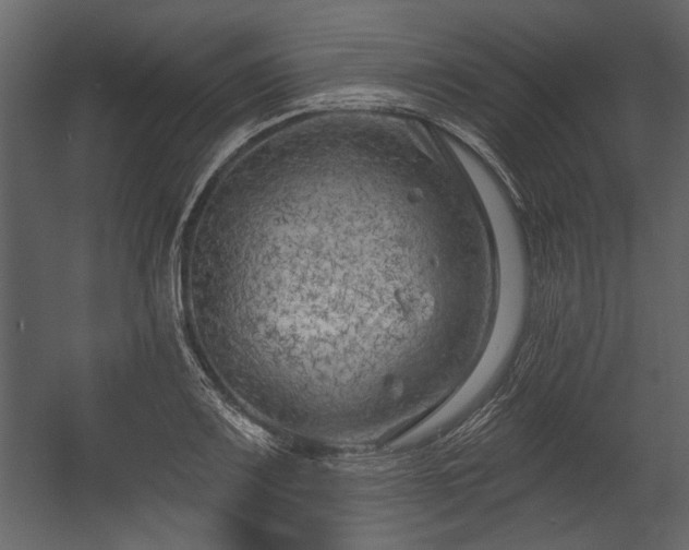X0000054421083200508011351