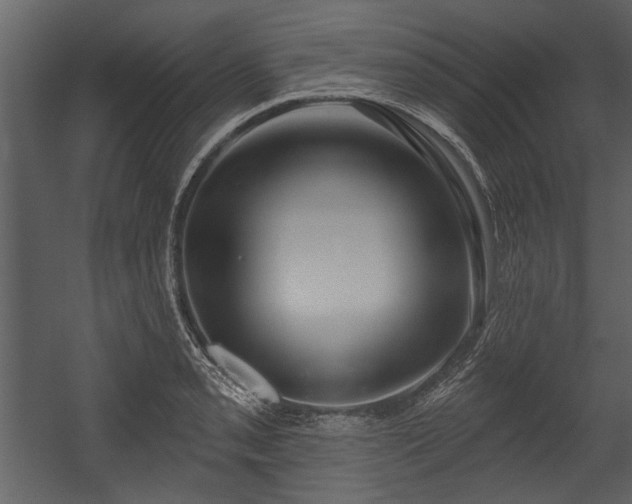 X0000054421085200508011351