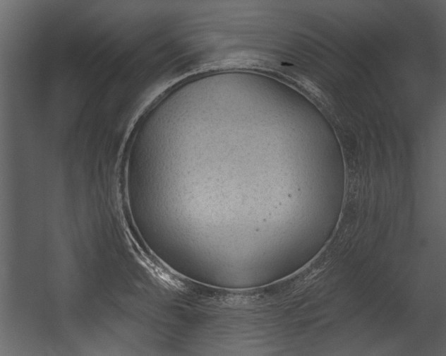 X0000054421086200508011351