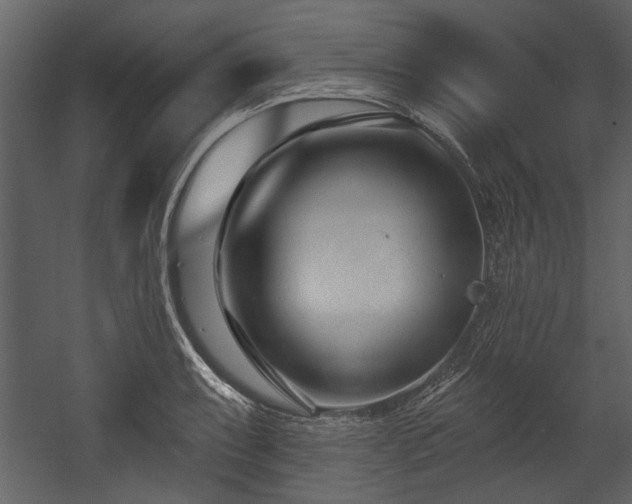 X0000054421087200508011351