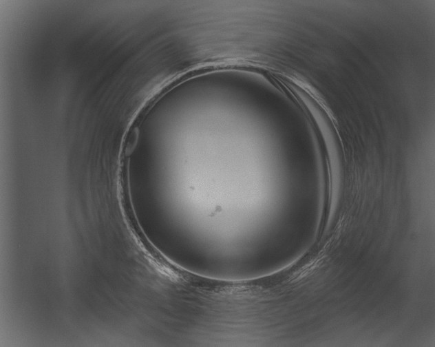 X0000054421093200508011351