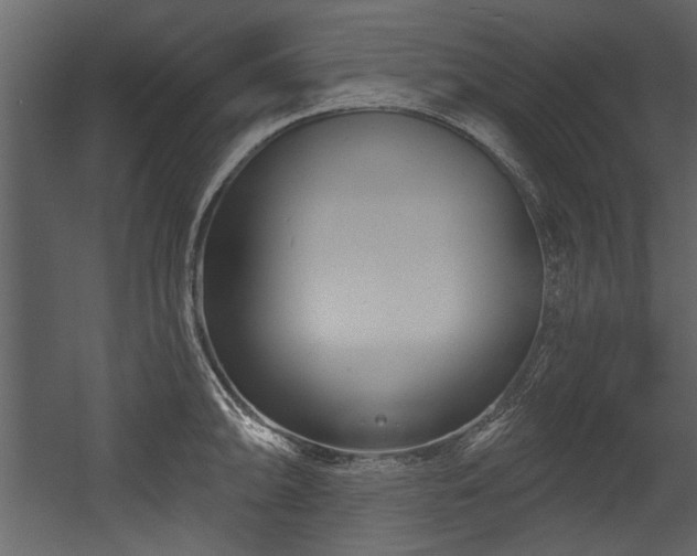 X0000054421094200508011351