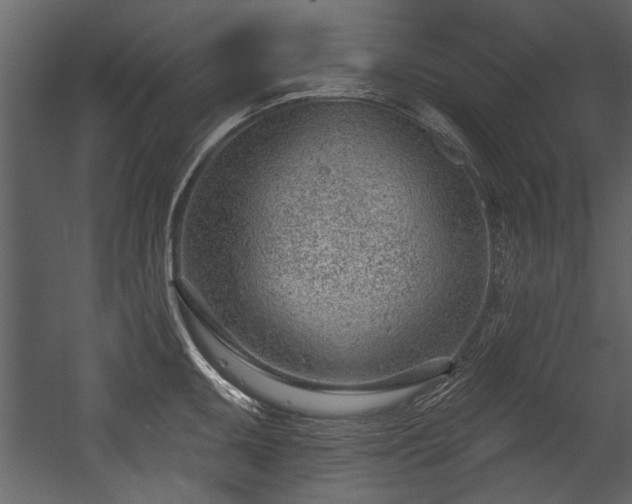 X0000054421095200508011351