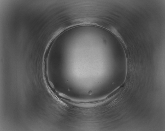 X0000054421096200508011351