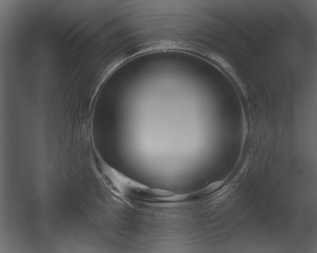 X0000054421097200508011351