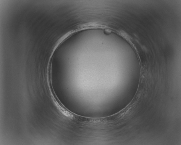 X0000054421098200508011351