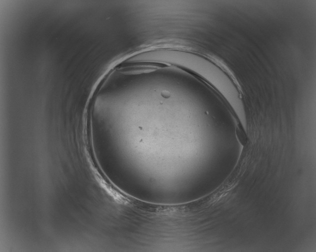 X0000054421099200508011351