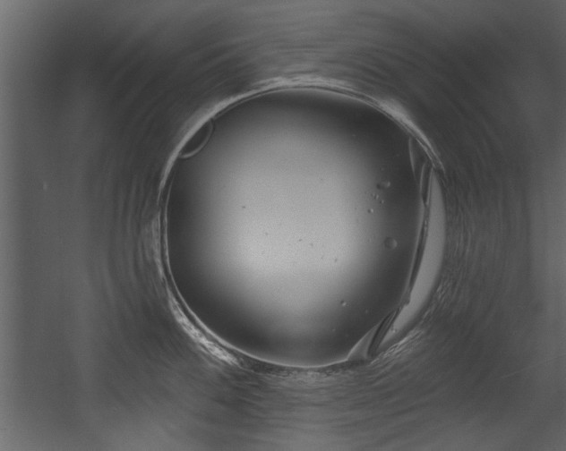 X0000054421100200508011351