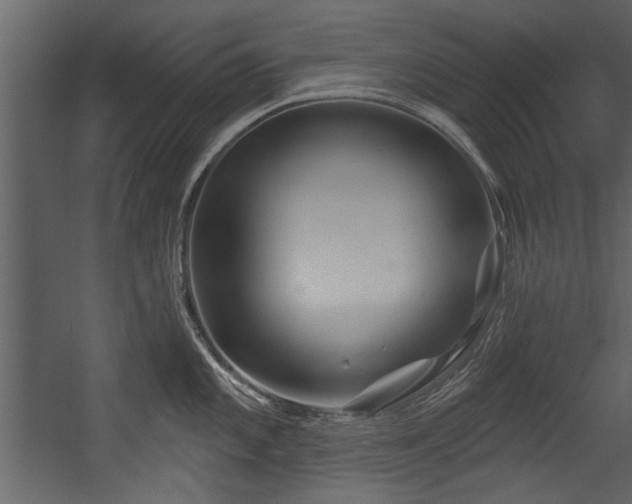 X0000054421101200508011351