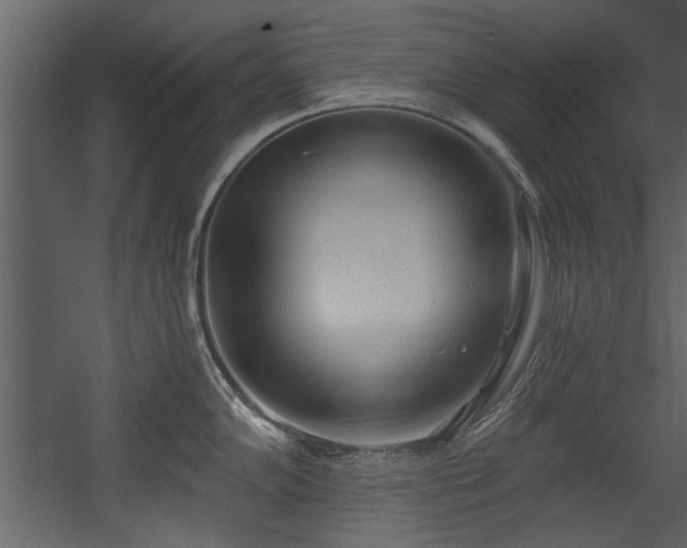 X0000054421102200508011351