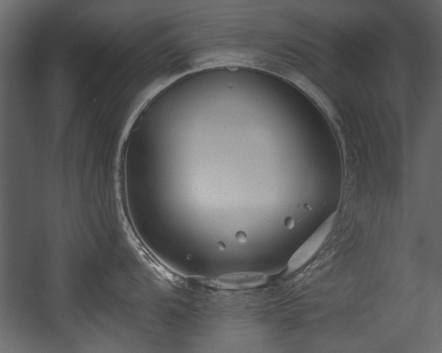 X0000054421104200508011351