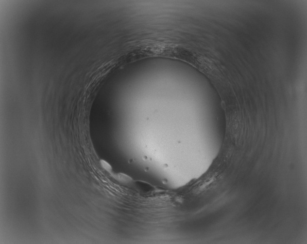 X0000054421105200508011350