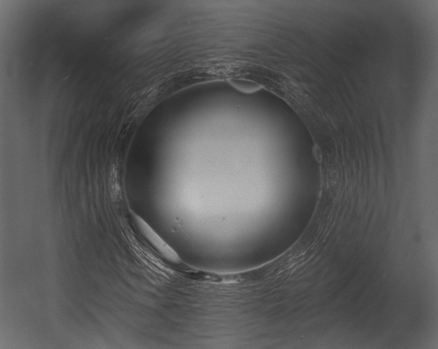 X0000054421106200508011350