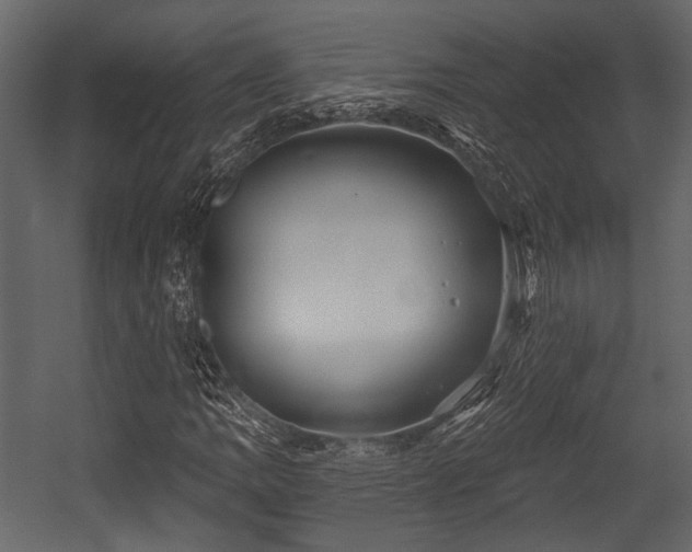 X0000054421109200508011350