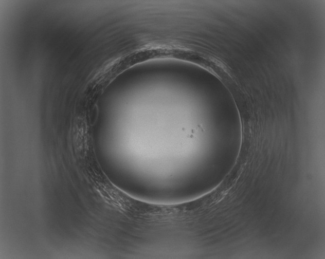 X0000054421111200508011350