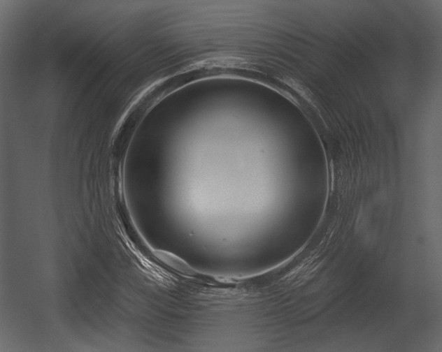 X0000054421115200508011350