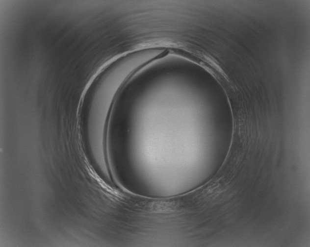 X0000054421116200508011350