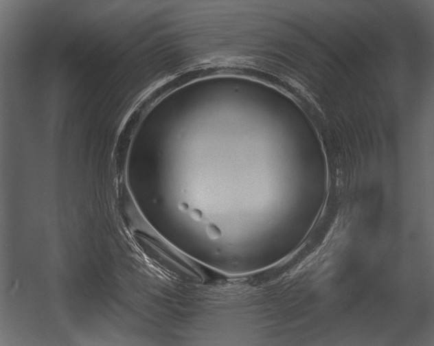 X0000054421117200508011350