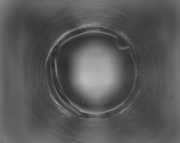 X0000054421118200508011350