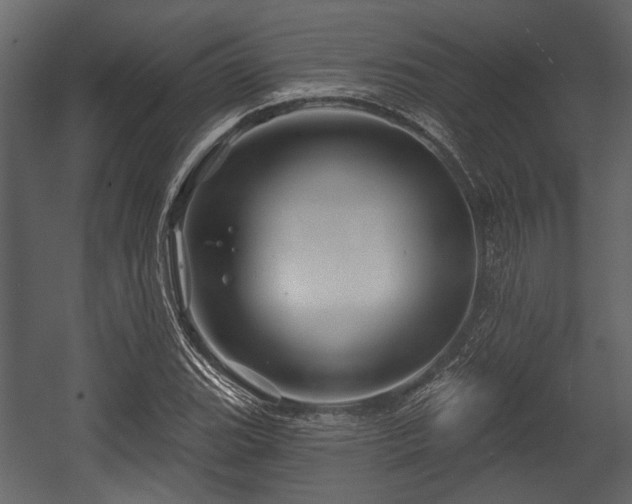 X0000054421119200508011350