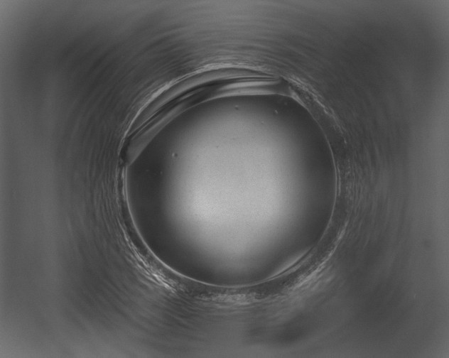 X0000054421121200508011350