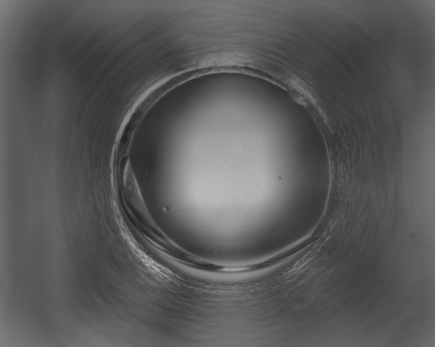 X0000054421124200508011350