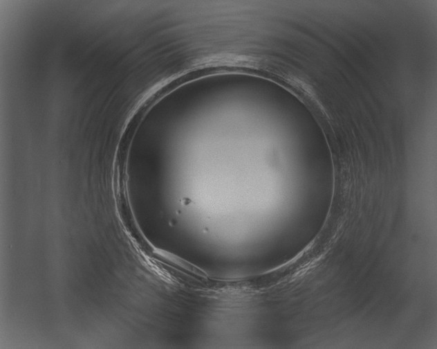 X0000054421125200508011350