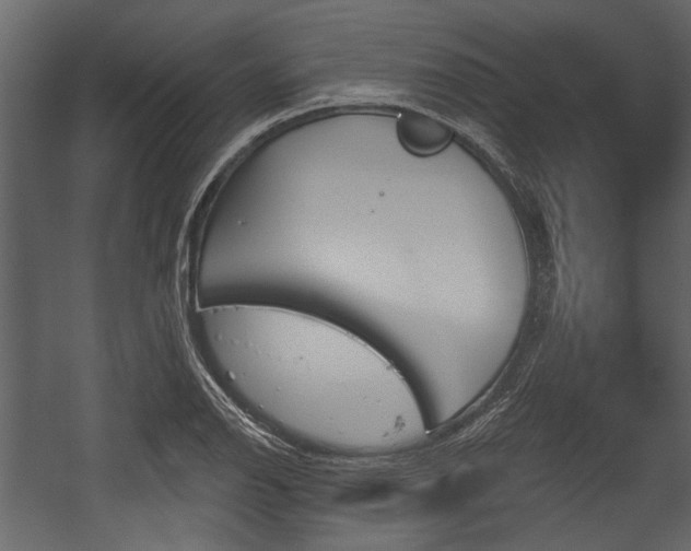 X0000054421126200508011350