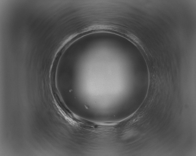 X0000054421127200508011350