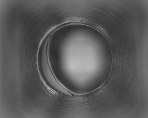 X0000054421128200508011350