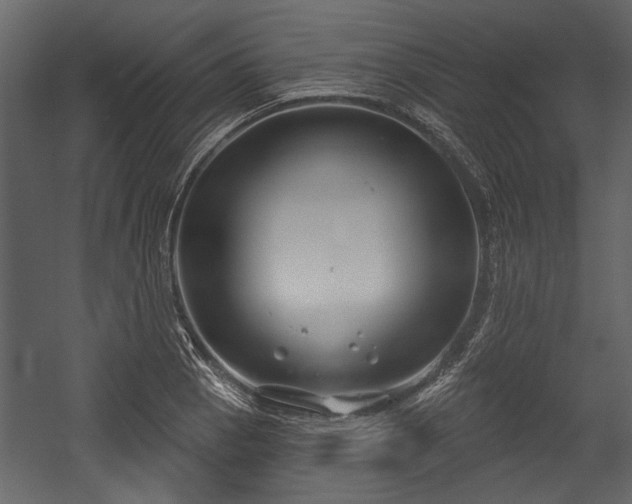 X0000054421129200508011350