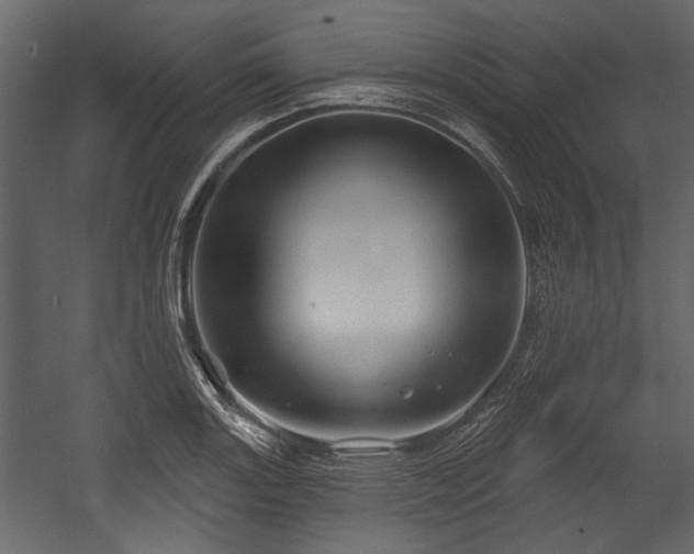 X0000054421131200508011350