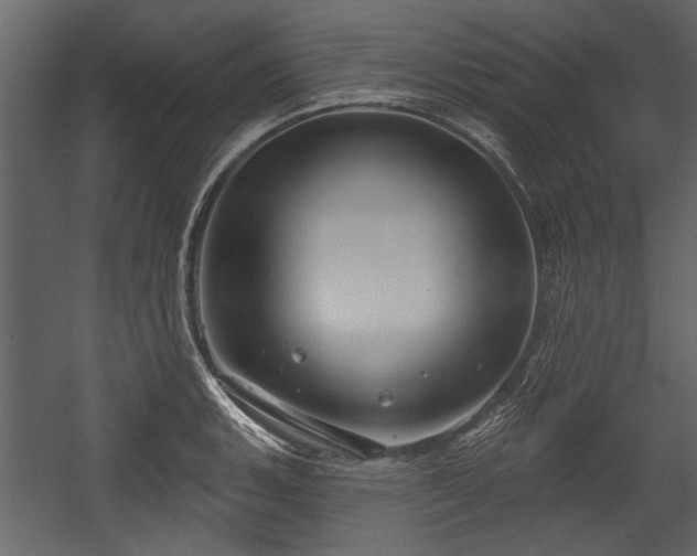 X0000054421135200508011350