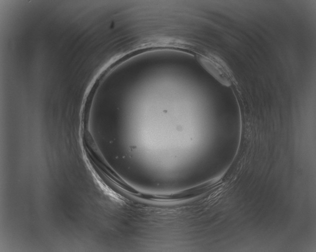 X0000054421136200508011350