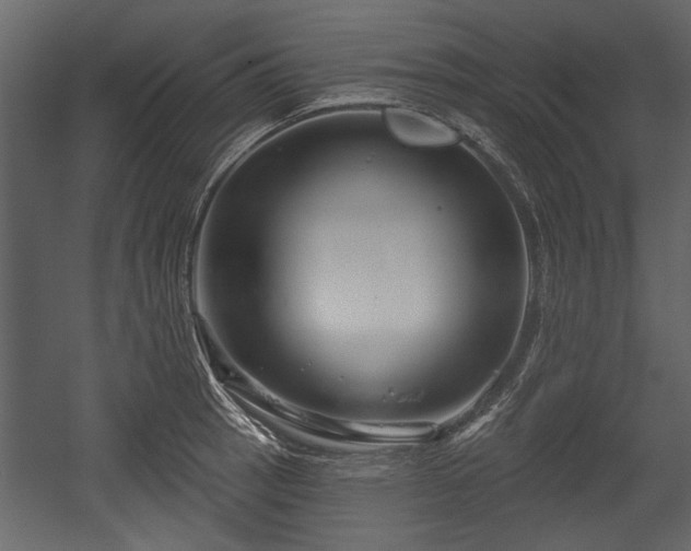 X0000054421137200508011350