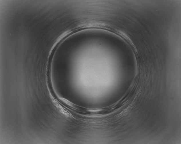 X0000054421138200508011350