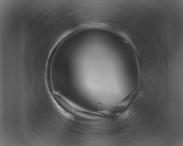 X0000054421139200508011350