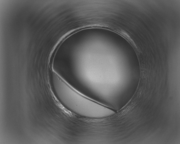 X0000054421140200508011351