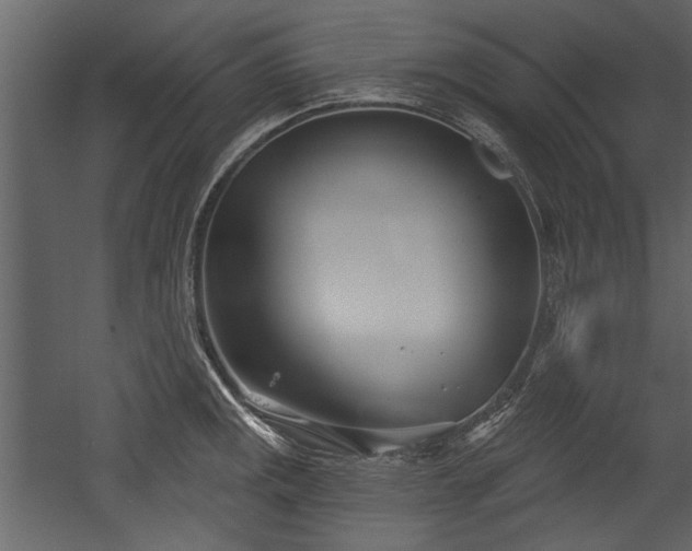 X0000054421141200508011351