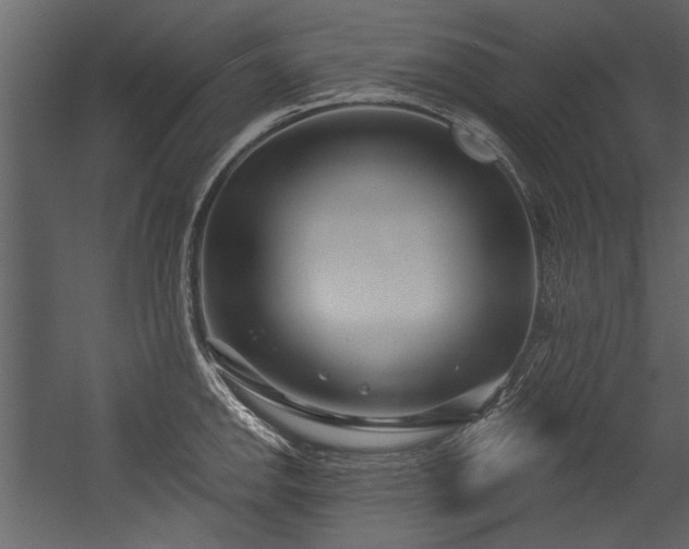 X0000054421142200508011351