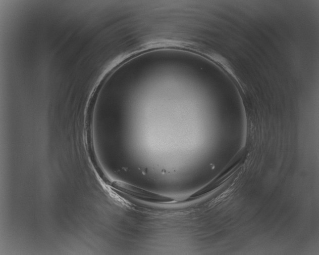 X0000054421143200508011351