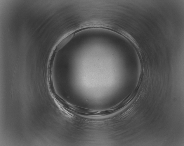 X0000054421144200508011351