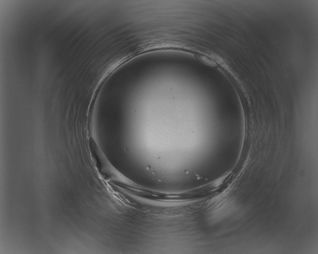 X0000054421145200508011351