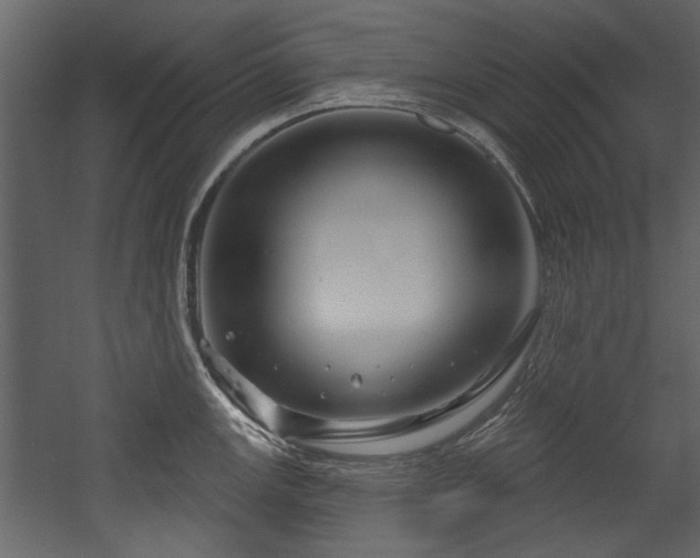 X0000054421147200508011351