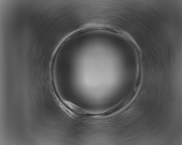 X0000054421148200508011351