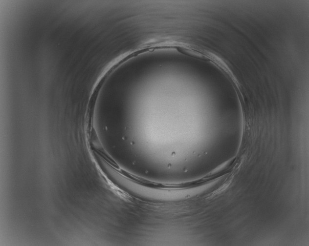 X0000054421149200508011351